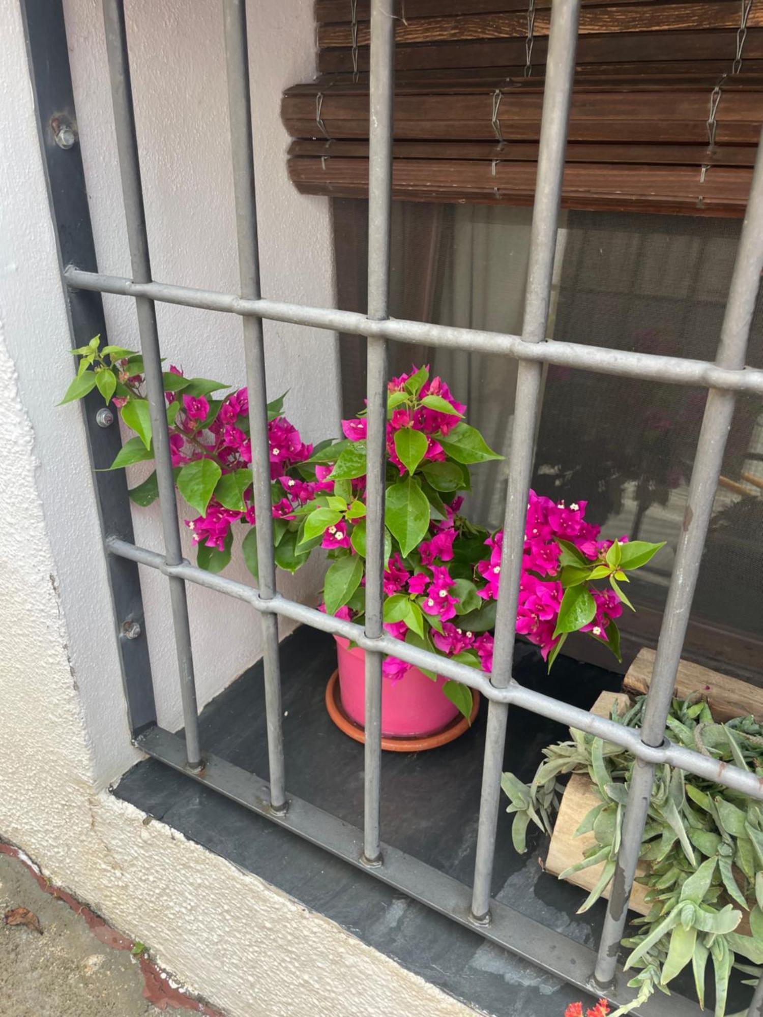 La Cuadra De Anita Villa Mecina Fondales Bagian luar foto